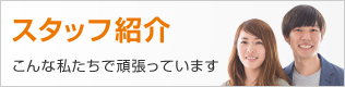 スタッフ紹介 こんな私たちで頑張っています