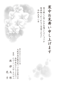 K23M002