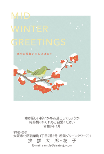 K26C072 デザインタイプ