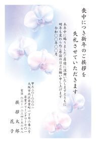 M01C017