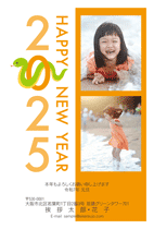 N25P117