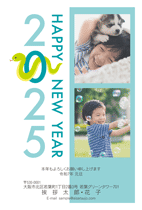 N25P118