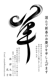 N27M005