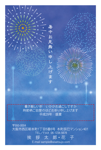 S17C010