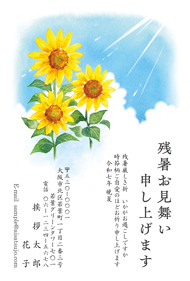 Z25C055
