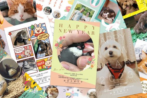 うちの子が１番！写真付きペット自慢年賀状