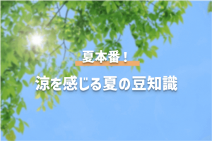 夏本番！涼を感じる夏の豆知識