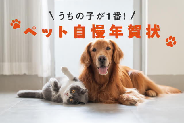 2026年版 うちの子が1番！ペット自慢年賀状